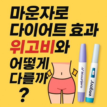 마운자로 다이어트 효과